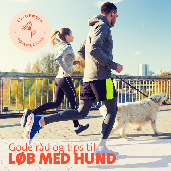 Løb med hund