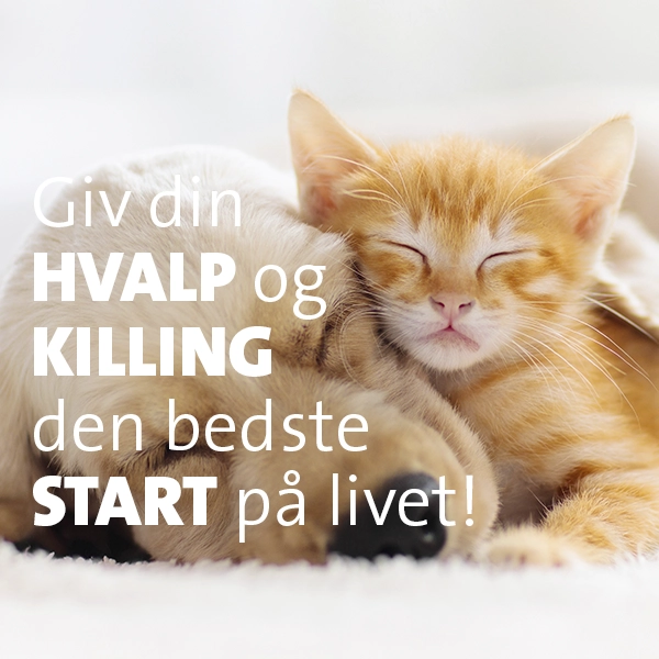 Læs mere om vores hvalpe- og killingepakke