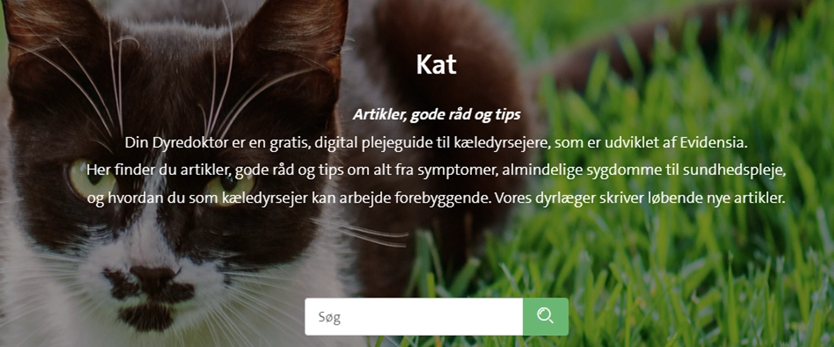 Din Dyredoktor kat